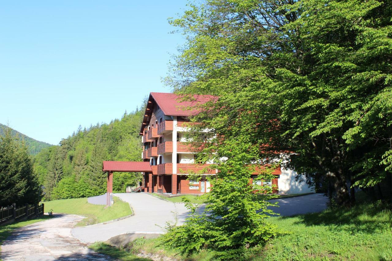 Monte Cervo Bio Hotel & Spa Covasna Extérieur photo